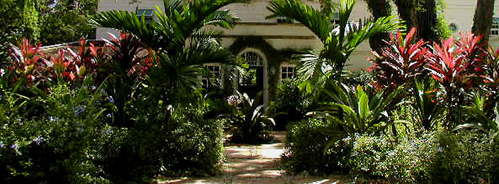 Barbados Tropical House