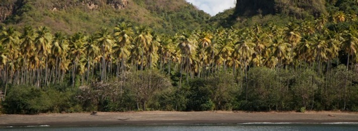 St Vincent local fishing boats
